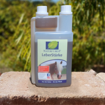 Leberstärke