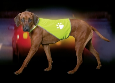 Safety Dog Sicherheitsweste